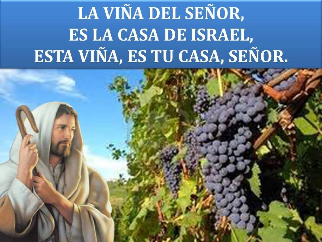 Una nueva vida 2